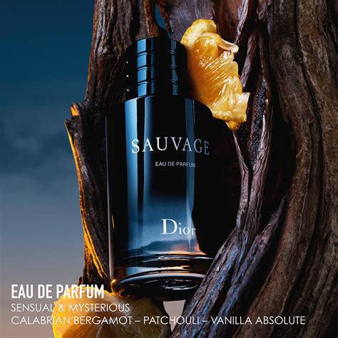 sauvage dior note|dior sauvage fragrantica.